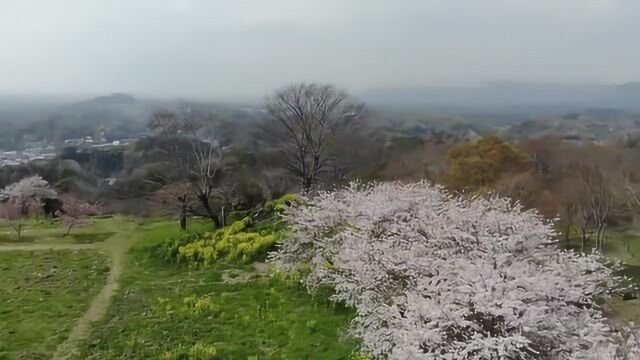 樱之城:日本冈城 日本臼杵城 无人机航拍