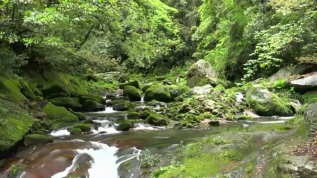 山涧清澈的溪流,生长茂盛的树林,险峻的山峰