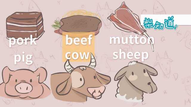 为什么牛肉叫 beef 而不是 cowmeat?