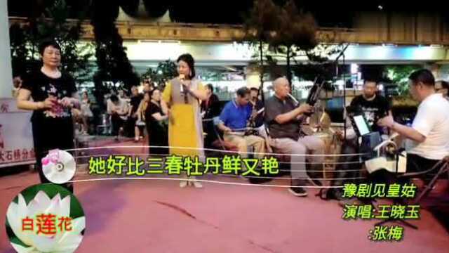 王晓玉张梅对唱豫剧见皇姑铡美案选段唱的真好听配合默契可美