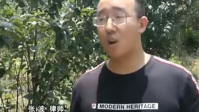 法院判决难执行 房管所:领导不让办?