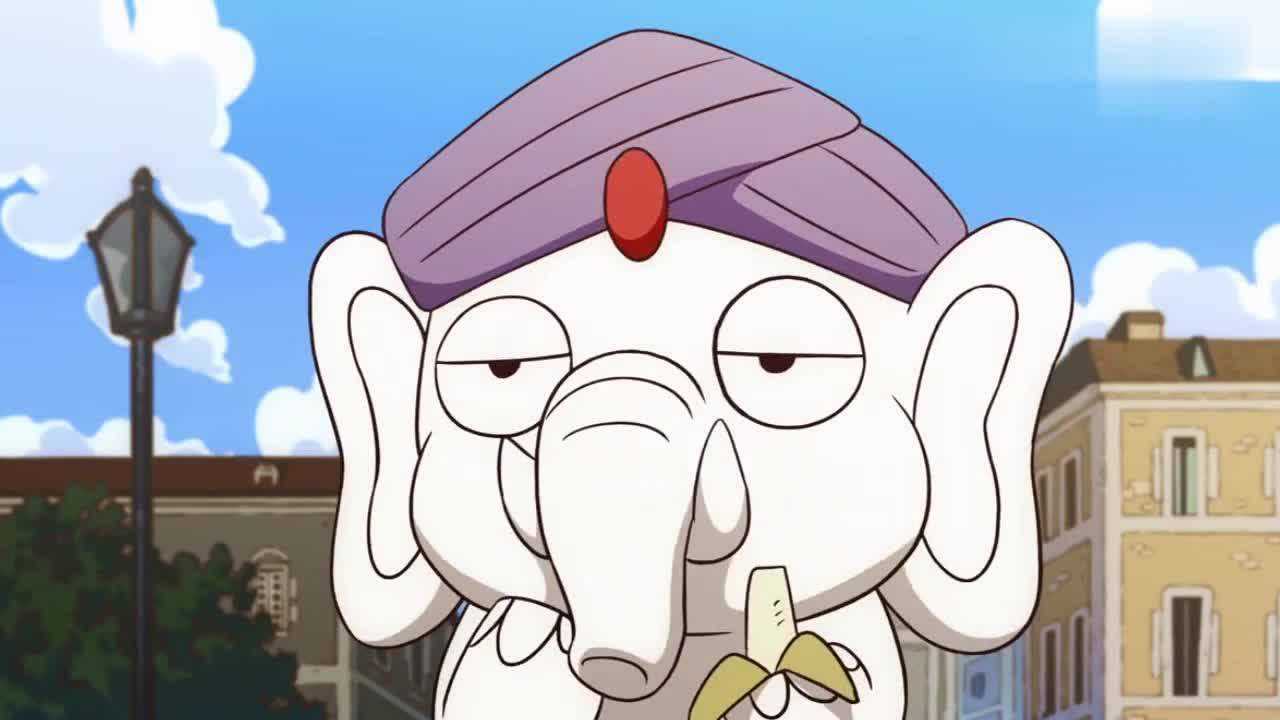 那年那兔那些事鹰酱兔子他凶狠白象打招呼吓的香蕉都掉了