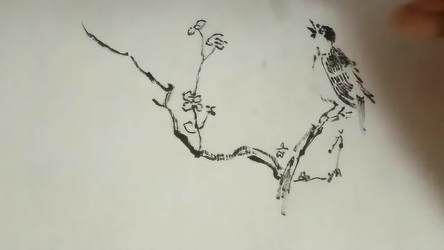 花鸟画入门:梅花与鸟的组合画法,墨色要有变化