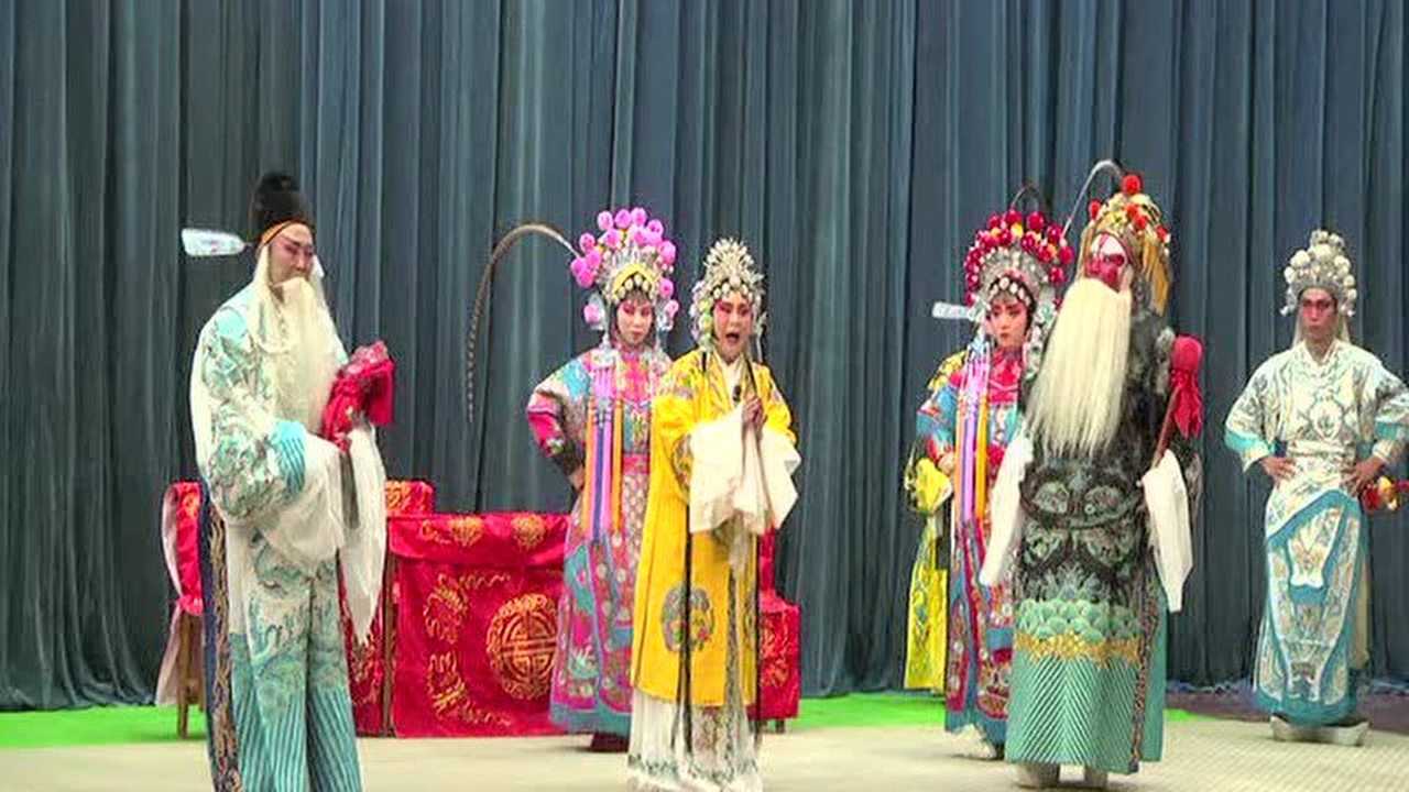 巨鹿四股弦《忠保国3》解会谦