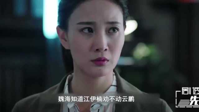 云鹏怒摔手机,魏海要把云鹏送回滨江,伊楠拿云鹏毫无办法