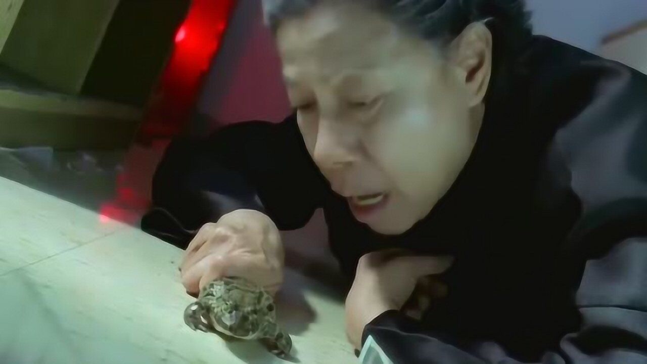 老太太知道自己大限将至为了吊住最后一口气竟把青蛙塞进嘴里
