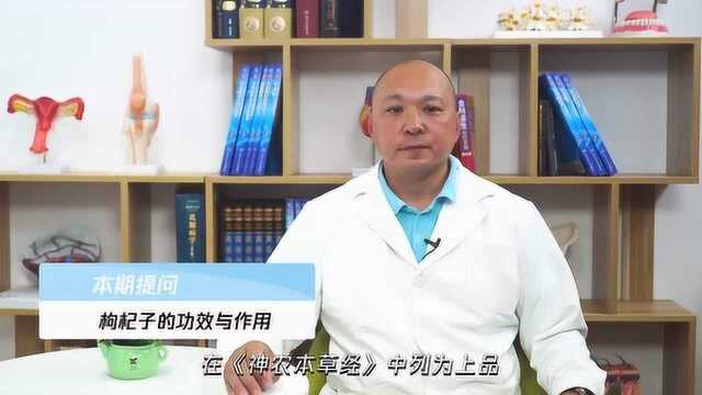 枸杞子的功效与作用是哪些?