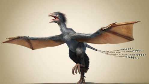 鸟类是恐龙进化来的？这有什么依据？