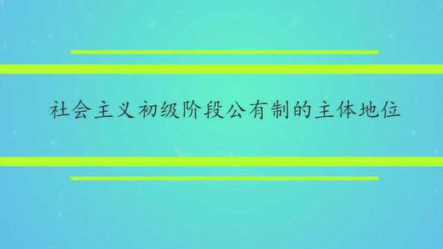 社会主义初级阶段公有制的主体地位