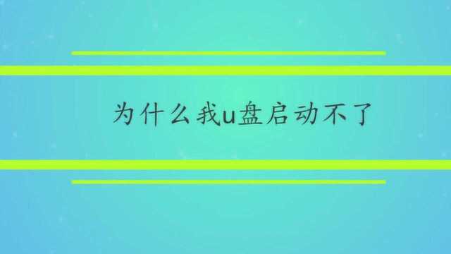 为什么我u盘启动不了