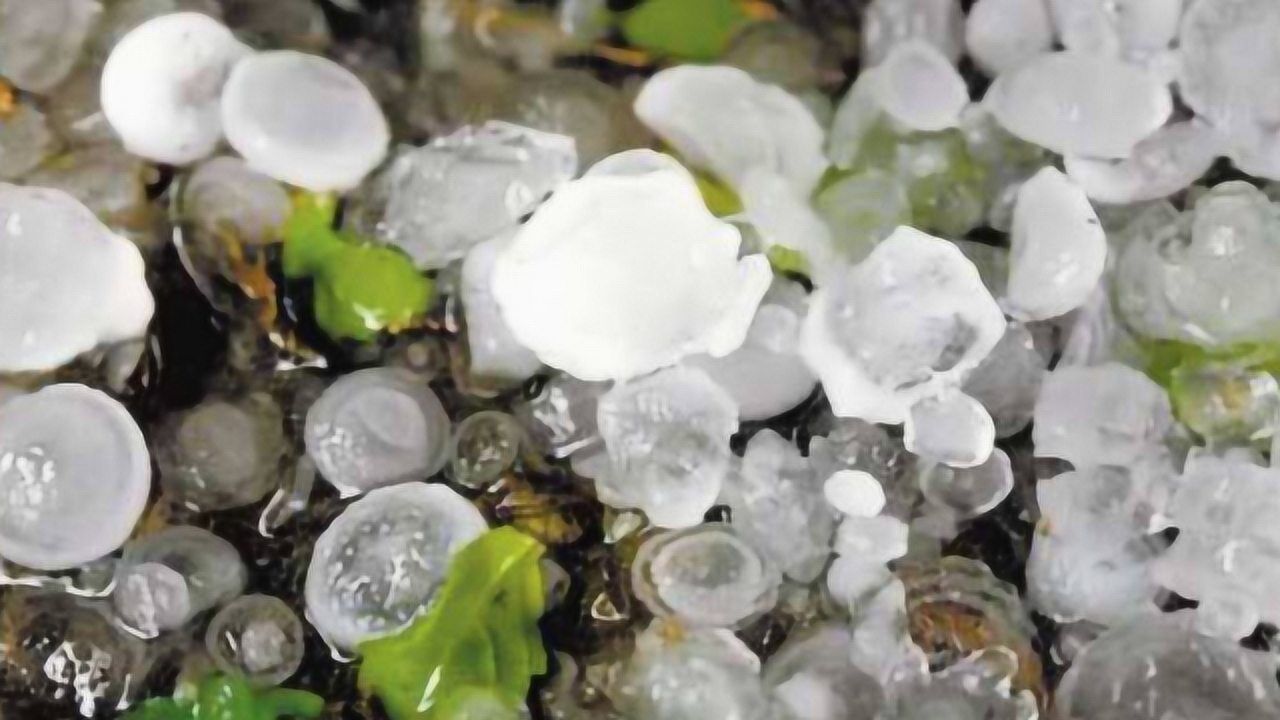 山西遭强冰雹袭击 冰雹直径最大约3公分