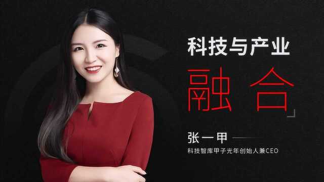 张一甲:产业互联网的时代,结盟才能制胜