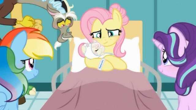 《小马宝莉》新生小马!柔柔的宝宝