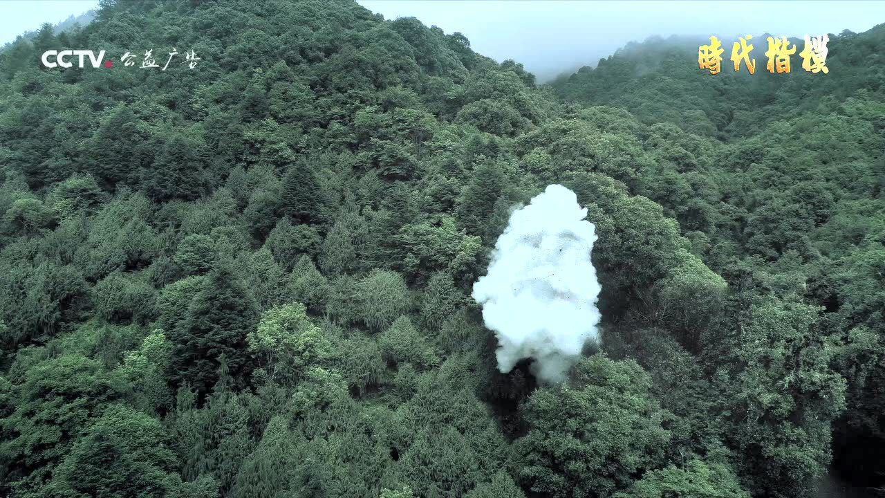 央视公益广告《时代楷模杜富国》_高清