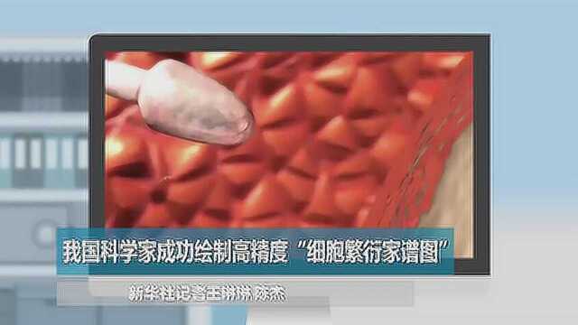 我国科学家成功绘制高精度“细胞繁衍家谱图”