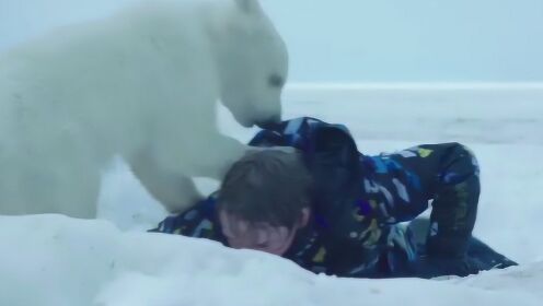 小男孩捡到一只熊宝宝，为了帮它找到母亲，只身去极地差点丧命