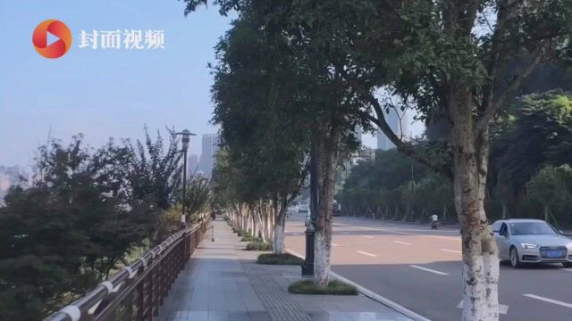 来了 来了!内江今年首个高温预警来了 最高温升至38℃以上