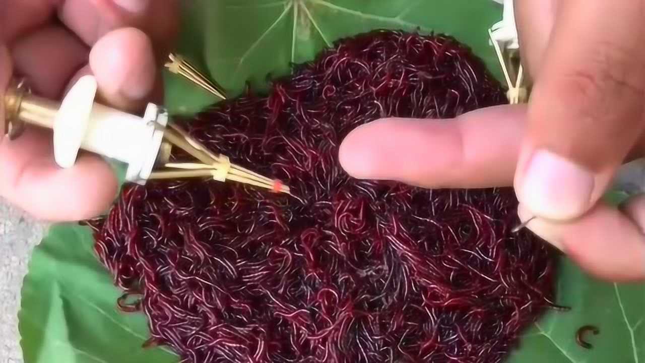 小妙招,用这个方法挂红虫,简单又实用