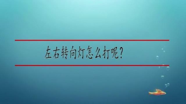 左右转向灯怎么打呢?