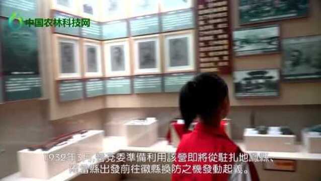 参观甘肃两当兵变纪念馆,讲解员是一个漂亮可爱的小妹妹