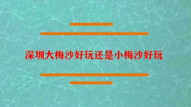 深圳大梅沙好玩还是小梅沙好玩?