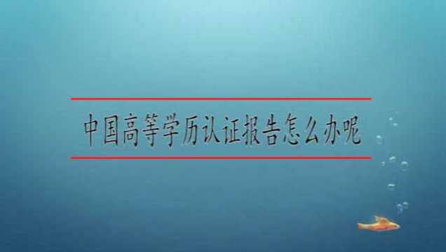 中国高等学历认证报告怎么办呢