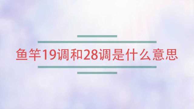 鱼竿19调和28调是什么意思