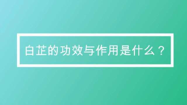 白芷的功效与作用是什么?