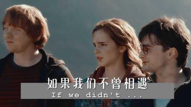 如果不曾相遇 If we didn't …