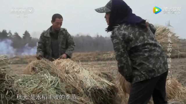 舌尖上的中国——李凤仁五常大米