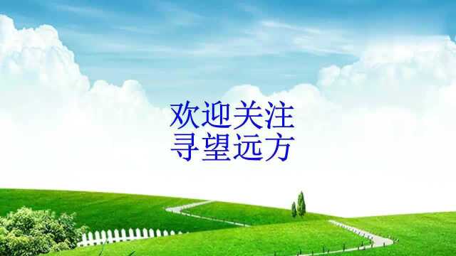 字谜:“十一个读书人”的谜底是什么?读书人你知道吗?