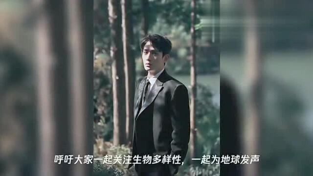 朱一龙最新大片“手护斑马”为地球发声,与刘诗诗新剧演绎都市