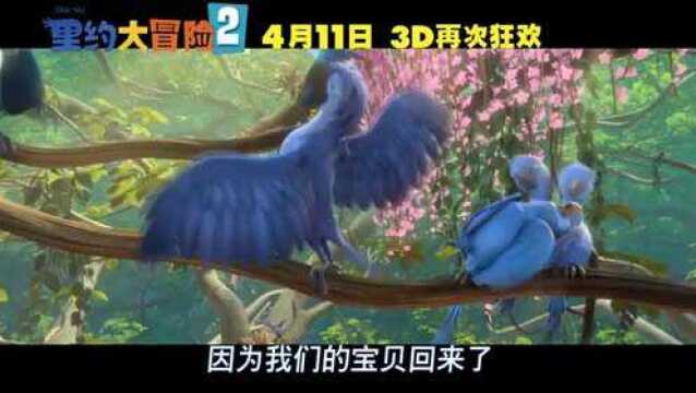 里约大冒险2 片段3 (中文字幕)