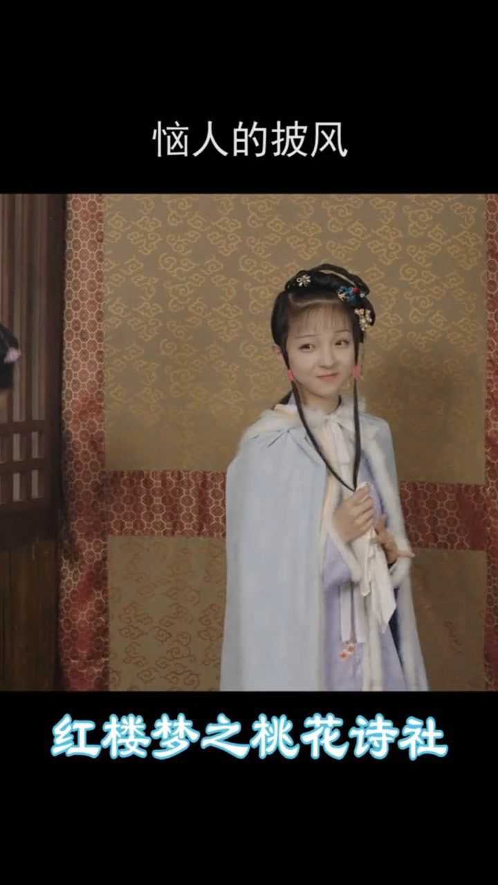 天真派红楼梦之桃花诗社