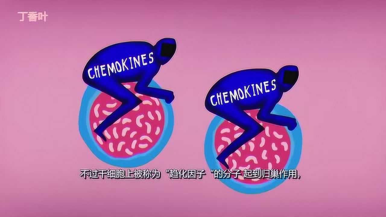 骨骼如何造血？_高清1080P在线观看平台_腾讯视频