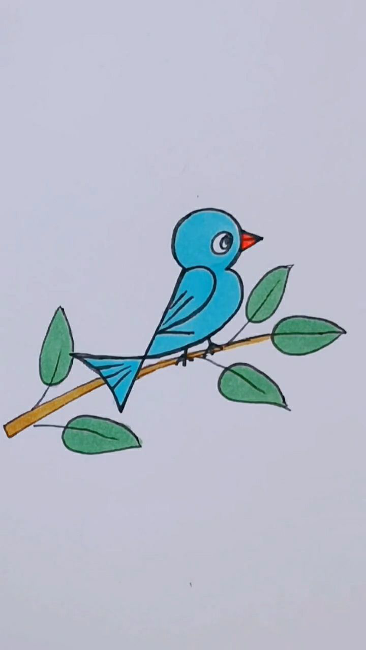 用123画一个小鸟蓝颜色可罕见了