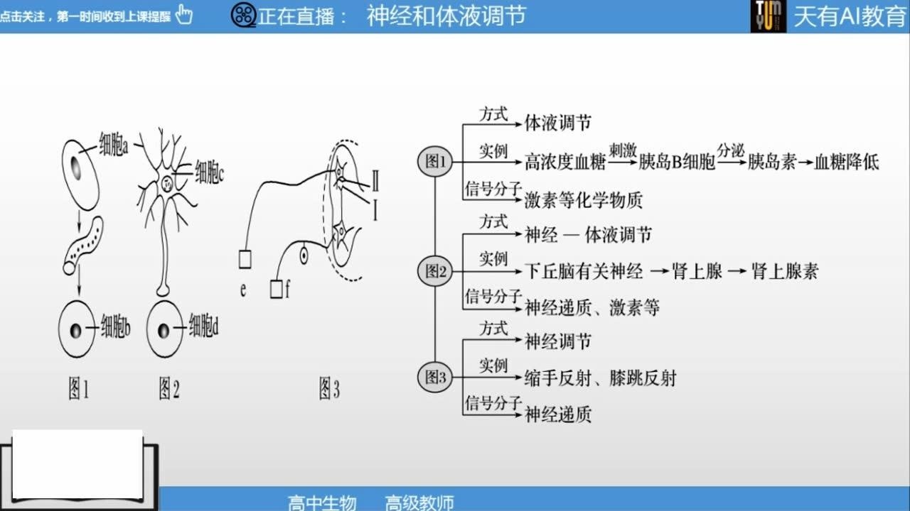 高考生物二轮专题《神经-体液调节》