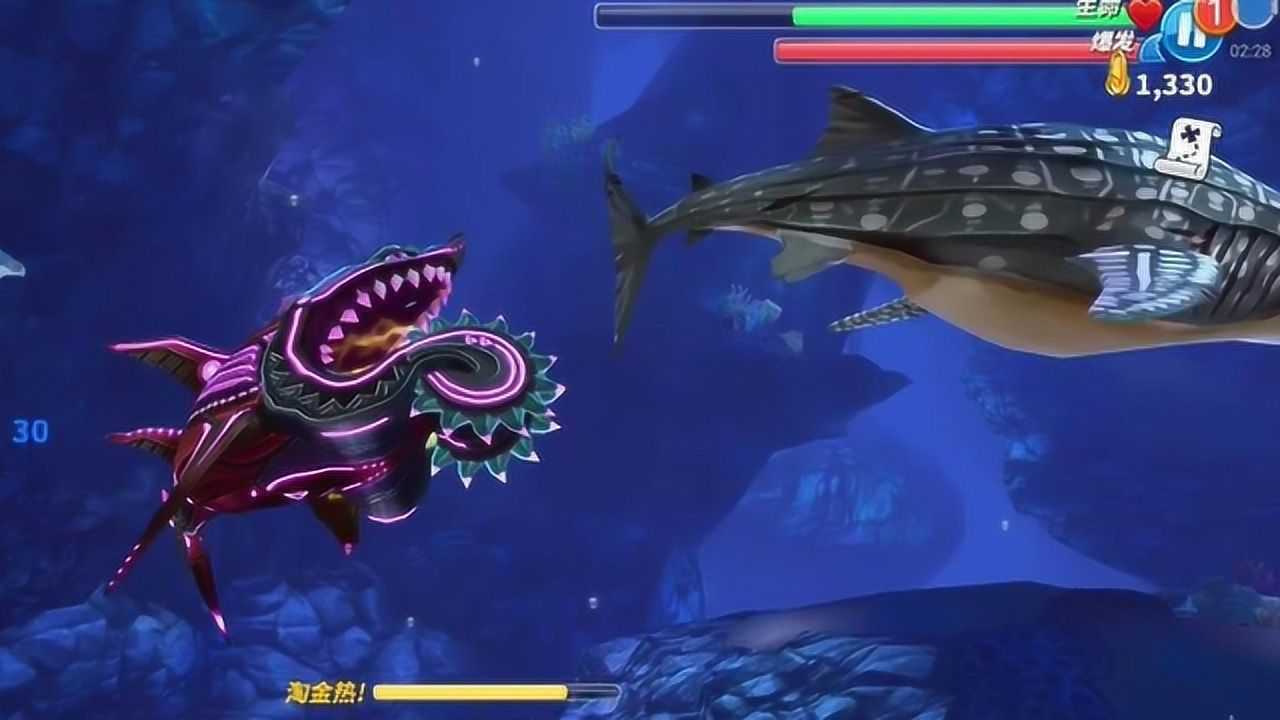 饥饿鲨世界:鲸鲨遇到旋齿鲨只有死路一条!