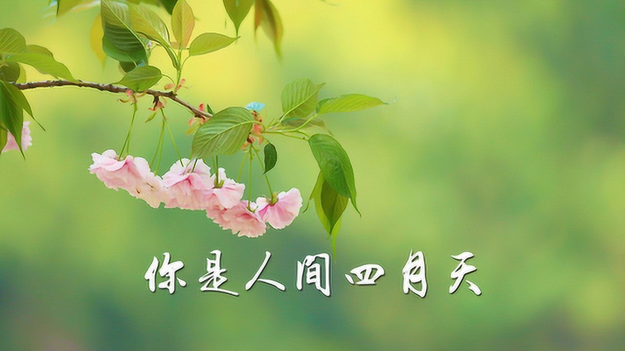 你是人间四月天,是爱,是暖,是希望!