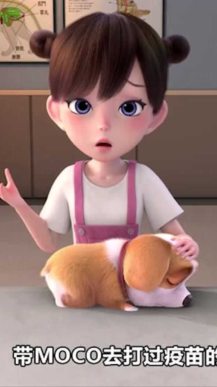 飞狗mocomoco生病了竟然得了犬瘟