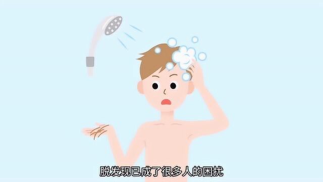 脱发的原因有哪些?