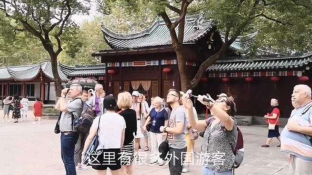 江南三大名楼之一的岳阳楼!中国文化把外国人全部吸引!引人瞩目.