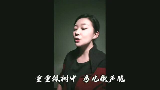 歌曲,大森林的早晨