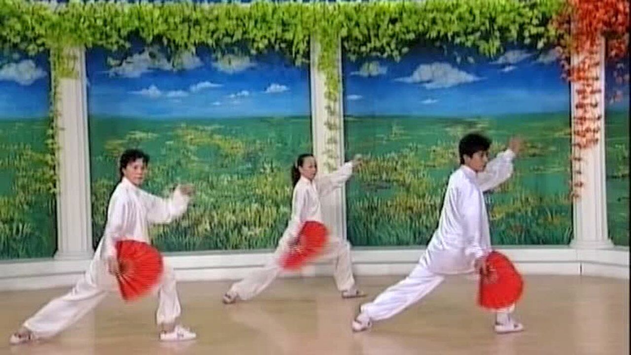 李德印太极功夫扇第一套背向演练_高清1080P在线观看平台_腾讯视频