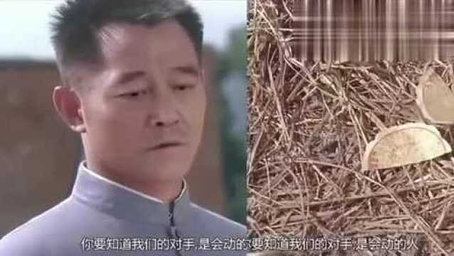 大家好,我是象牙山陈真!