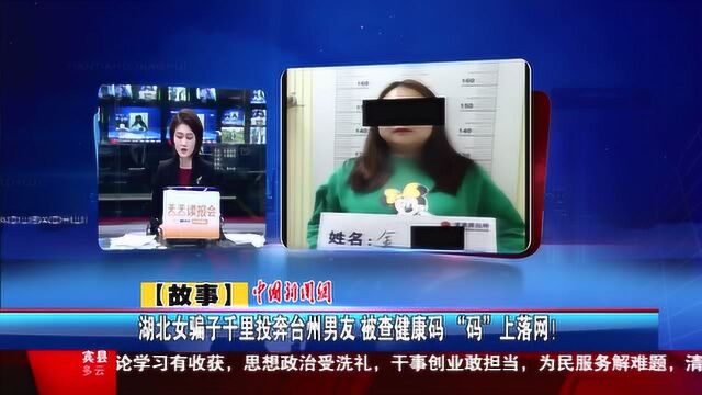 湖北女骗子千里投奔台州男友 被查健康码 “码”上落网