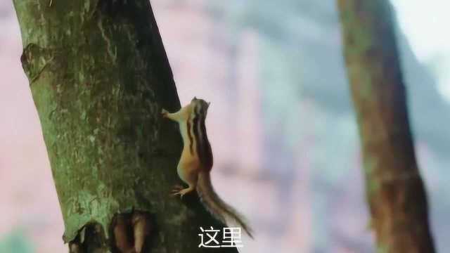 抖音看电影年兽影视片段推荐电影我的观影视报告