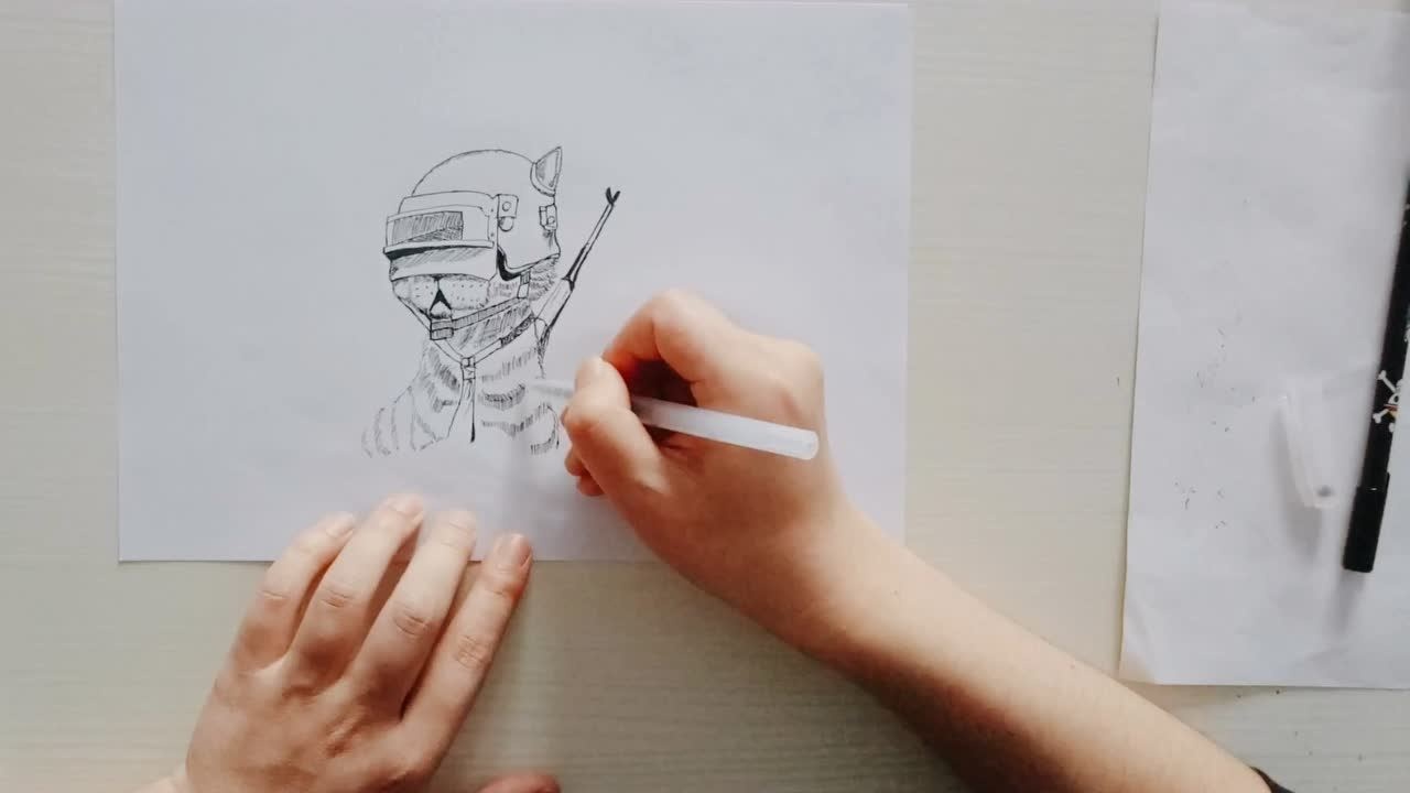 画一只带三级头的猫