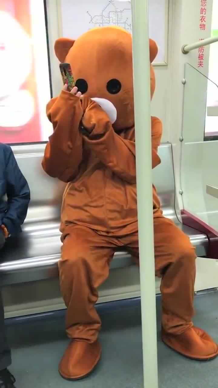 偶遇玩偶熊玩手机这只熊不仅近视还有肯能是斜视