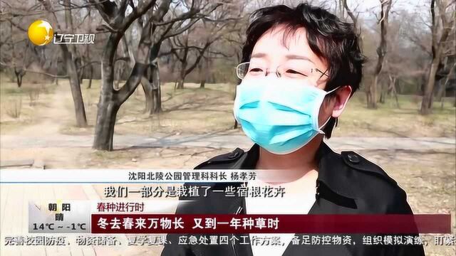 春种进行时:冬去春来万物长,又到一年种草时